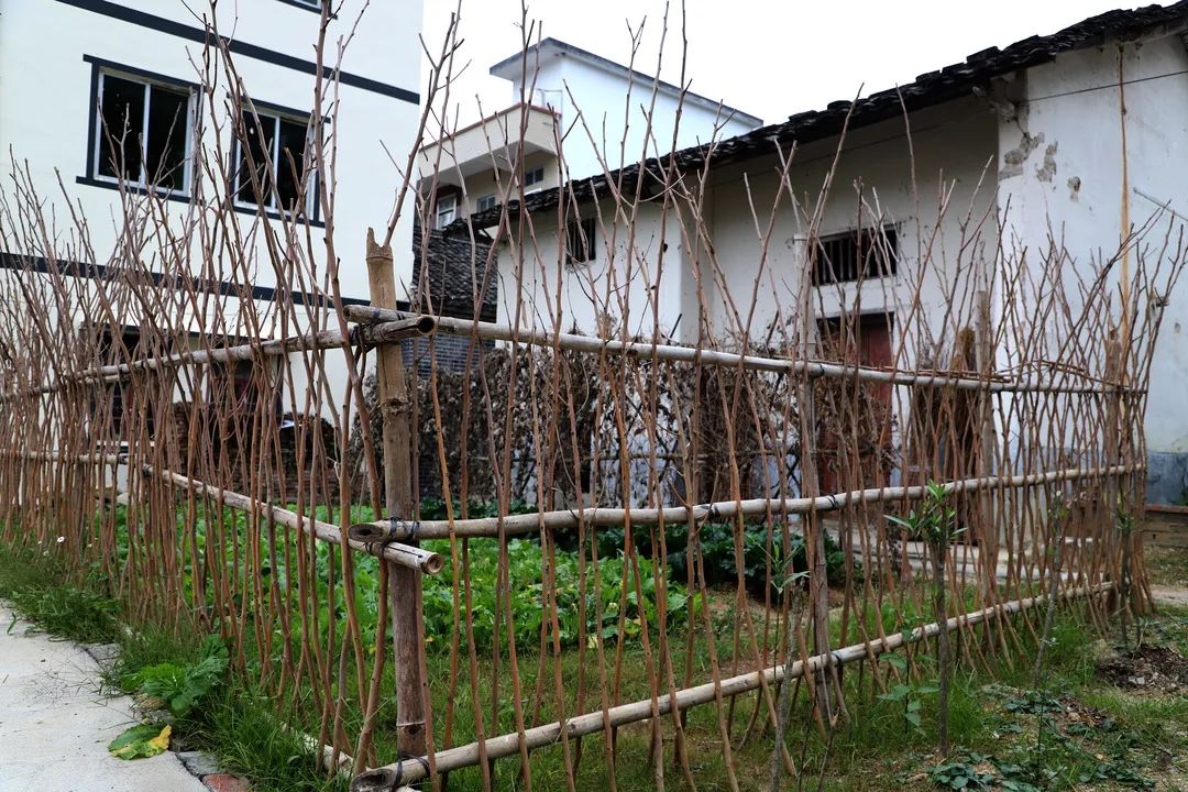 花城控股集團