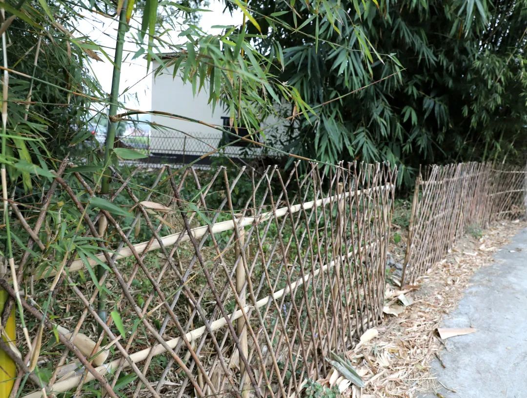 花城控股集團