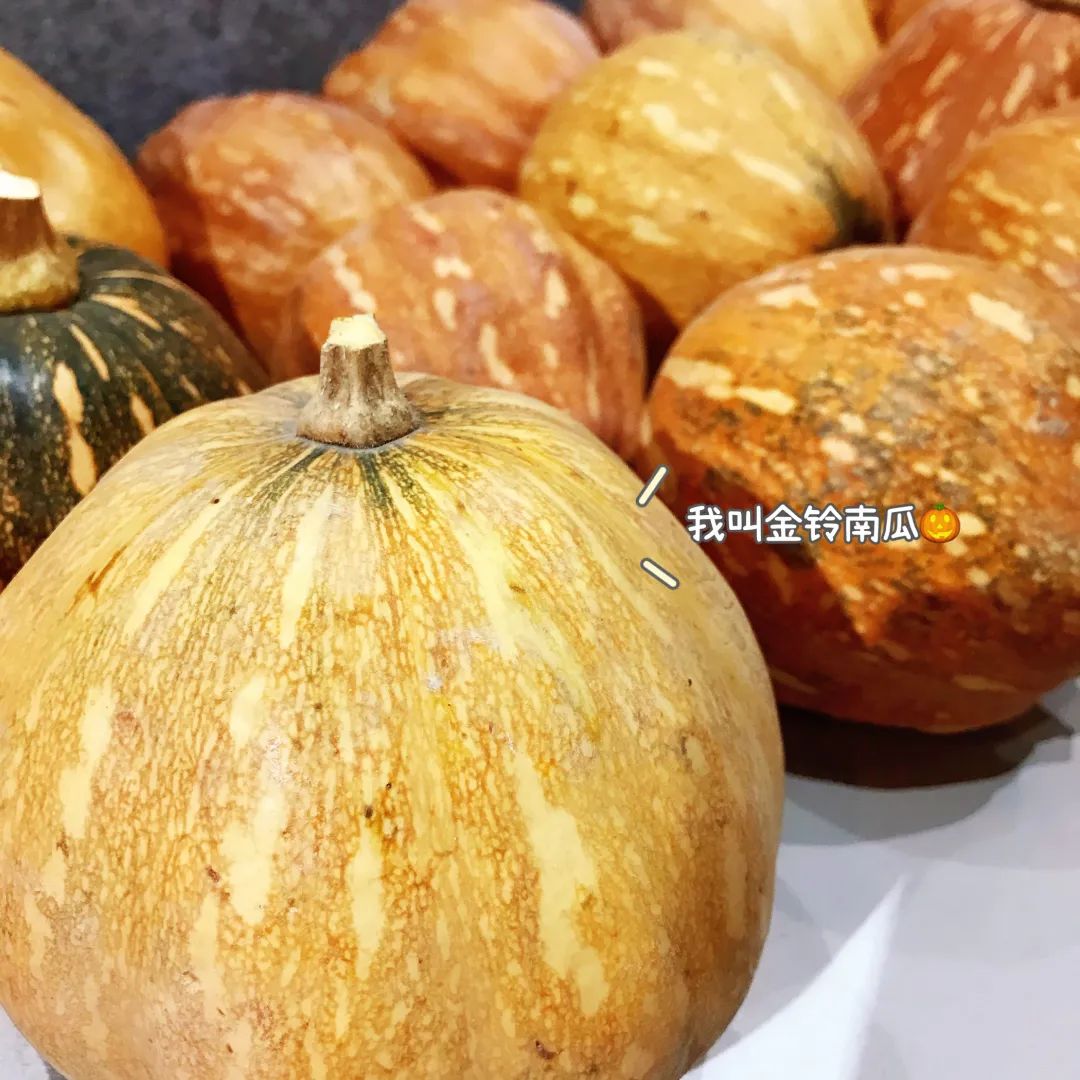 花城控股集團