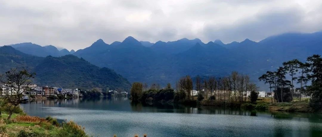 今日夢花灣丨霜輕未殺萋萋草，日暖初干漠漠沙