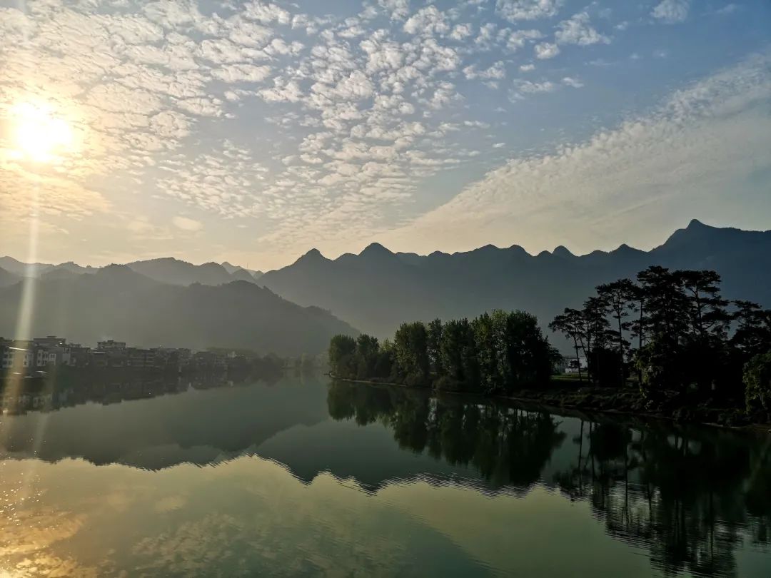 花城控股集團