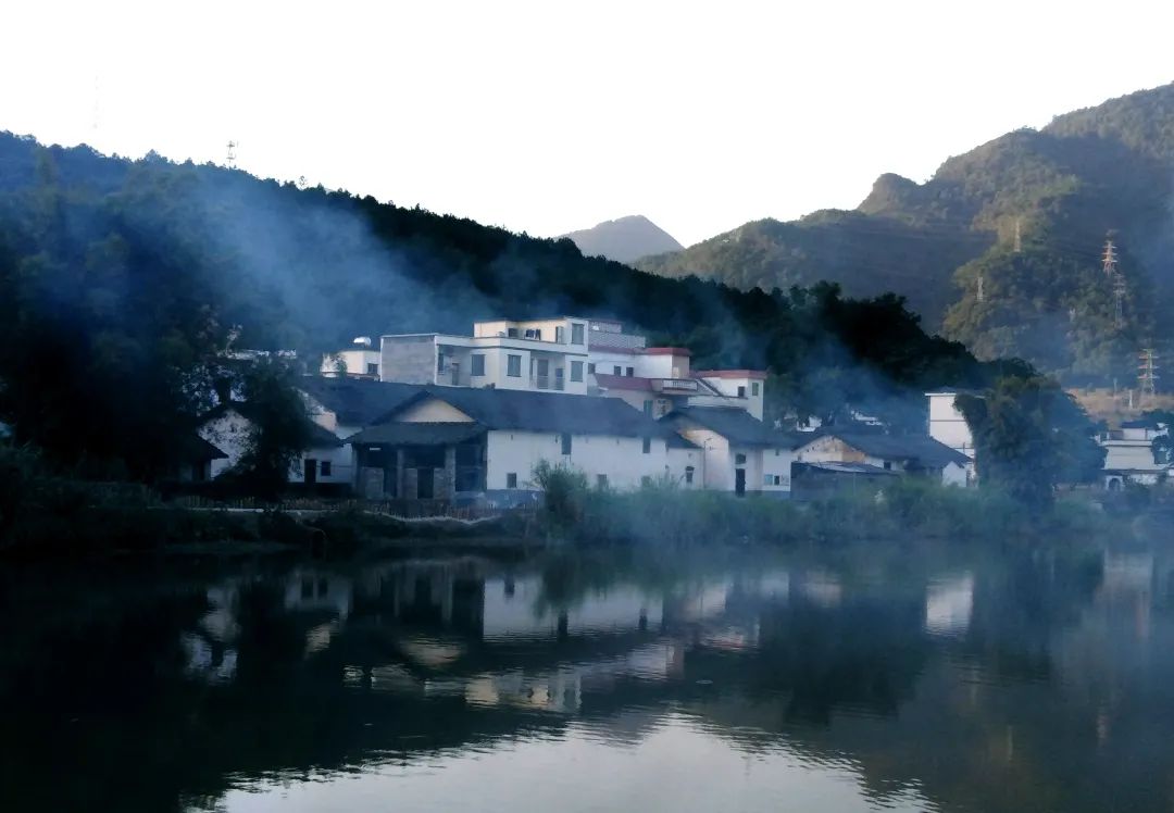 花城控股集團
