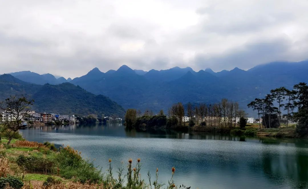 花城控股集團